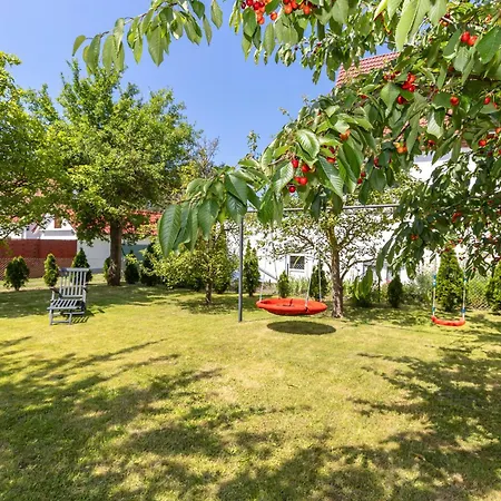 Stella Maris Рерик